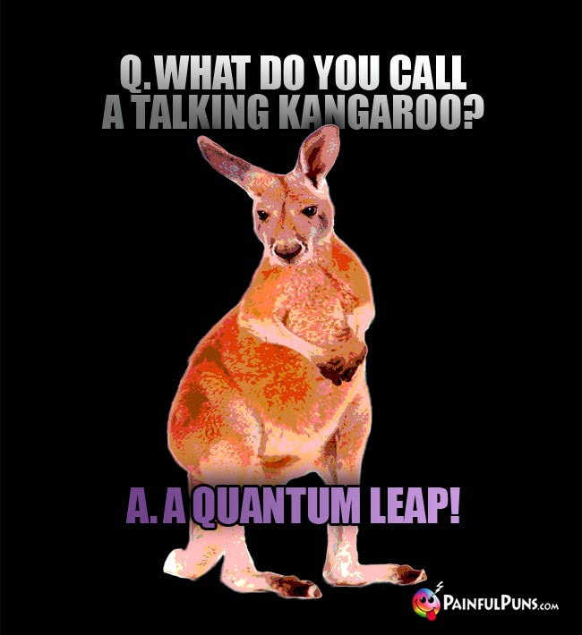 Q. What do you call a talking kangaroo? A. a quantum leap!