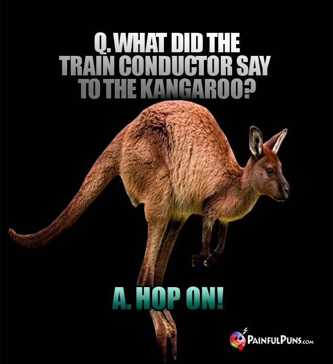 q. What did the train conductor say to the kangaroo? A. Hop one!