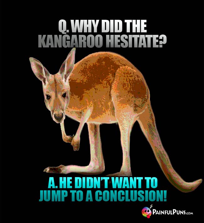 q. Why did the kangaroo hesitate? A. He didn't want to jump to a conclusion!