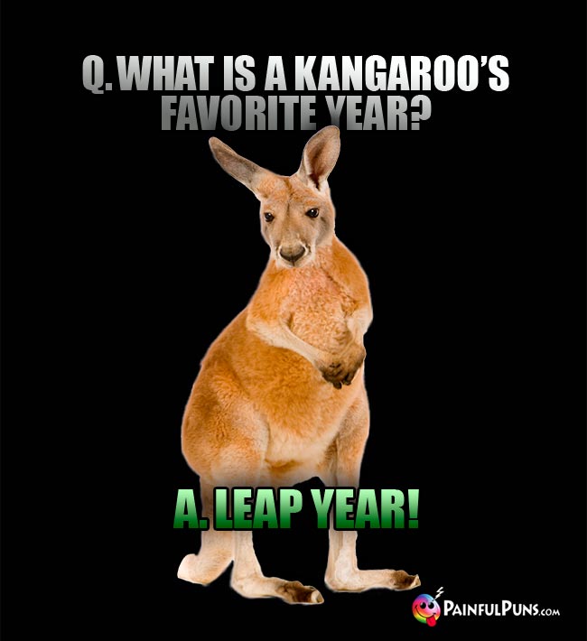 Q. What is a kangaroo's favorite year? A. Leap Year!