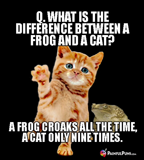 Q. What is the difference between a frog and a cat? A. A frog croaks all the time, a cat only nine times.