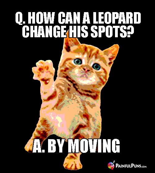 Animal Pun: Q. How can a leopard change his spots? A. By Moving 