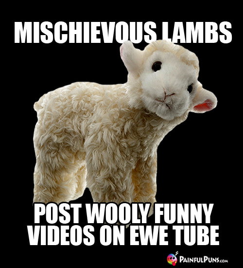 Mischeivous lambs post wooly funny videos on Ewe Tube.