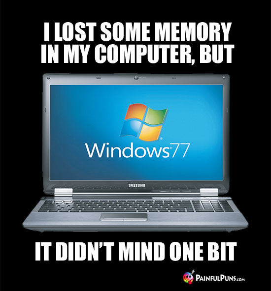 I lost some memory in my computer, but it didn't mind one bit.
