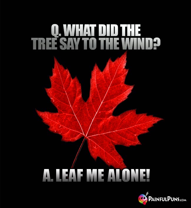 Q. What did the tree say to the wind? A. Leaf me alone!