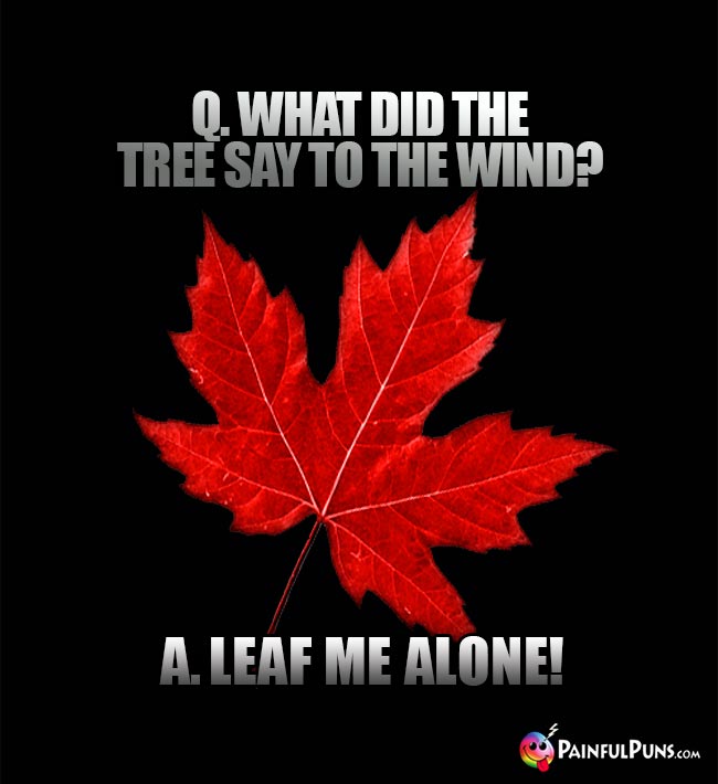 Q. What did the tree say to the wind? A. Leaf me alone!
