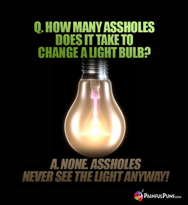 Q. How many assholes does it take to change a light bulb? A. None. Assholes never see the light anyway!