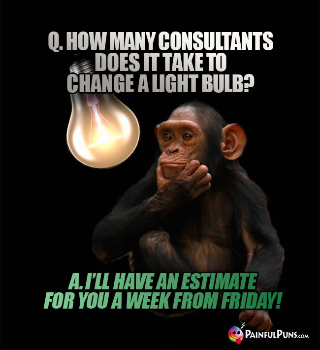 Q. How  many consultants does it take to change a light bulb? A. I'll have an estimate for you a week from Friday!