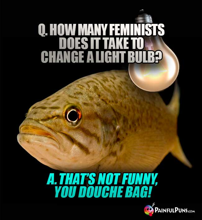 Q. How many feminists does it take to change a light bulb? A. That's not funny, you douche bag!