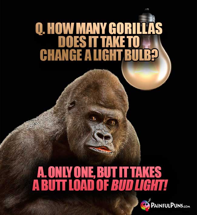 Q. How many gorillas does it take to change a light bulb? A. One one, but it takes a butt load of Bud Light!