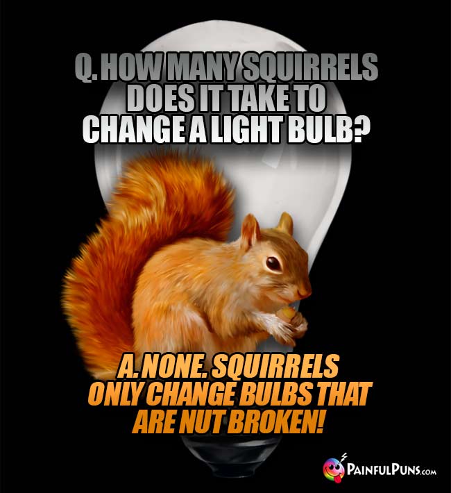 Q. How many squirrels does it take to change a light bulb? A. None. Squirrels only change bulbs that are nut broken!
