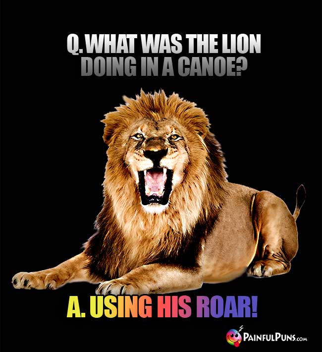 Q.  What was the lion doing in a canoe? a. Using his roar!