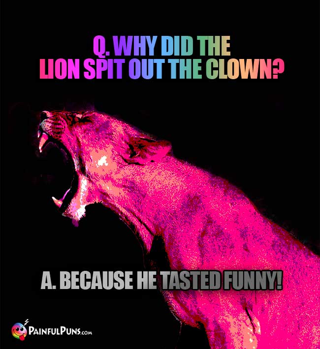 Q. Why did the lion spit out the clown? A beause he tasted funny!