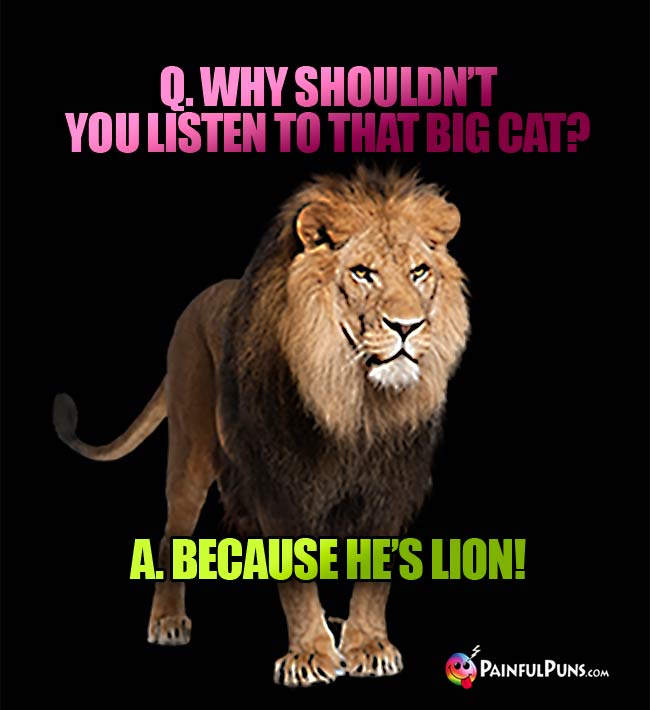 Q. Why shouldn't you listen to that big cat? a. because he's lion!