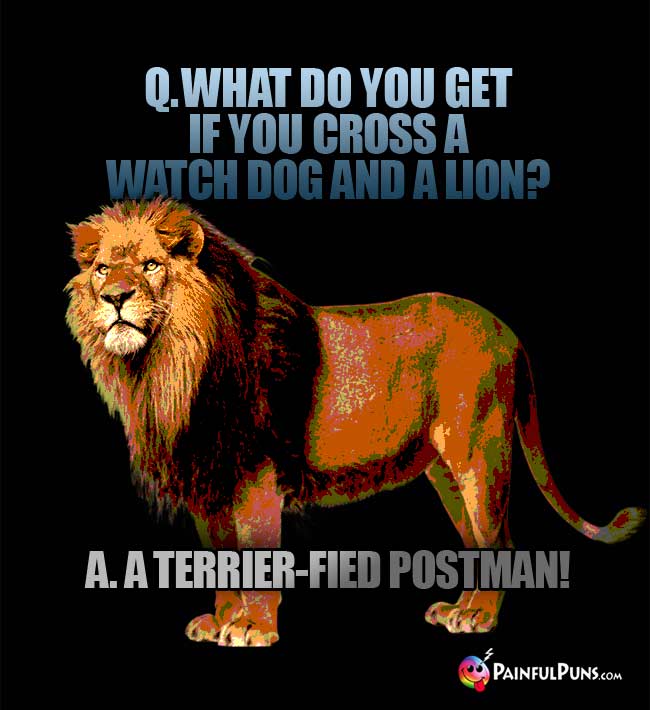Q. What do you get if you cross a watch dog and a lion/ A. A terrier-fied postman!