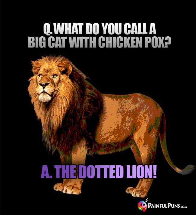 Q. What do you call a big cat with chicken pox? A The dotted lion!