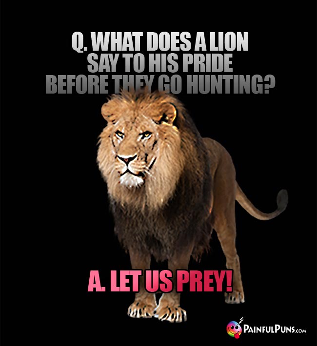 Q. What does a lion say to his pride before they go hunting? A. Let Us Prey!