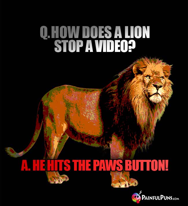 Q. How does a lion stop a video? A. He hits the paws button!