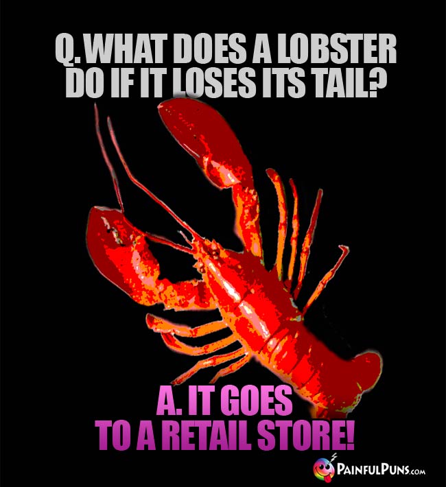 Q. What does a llobster do if it loses its tail? A. It goes to a retail store!