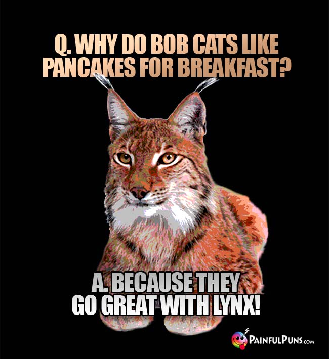 qQ. Why do bob cats like pancakes for breakfast? A. Because they go great with lynx!