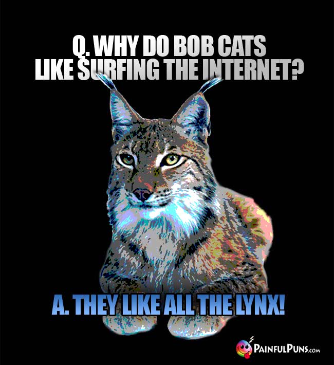 Q. Why do bob cats like surfing the Internet? a. They like al the lynx!