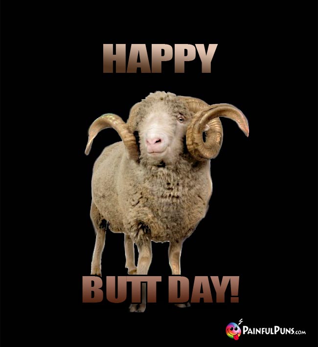 Longhorn Sheep Says: Happy Butt Day!