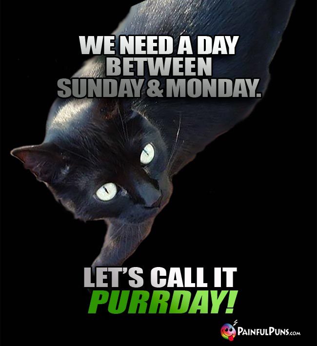 Cool cat says: We need a day between Sunday and Monday. Let's call it PurrDay!