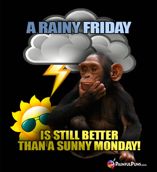 Cheeky chimp says: A rainy Friday is still better than a sunny Monday!