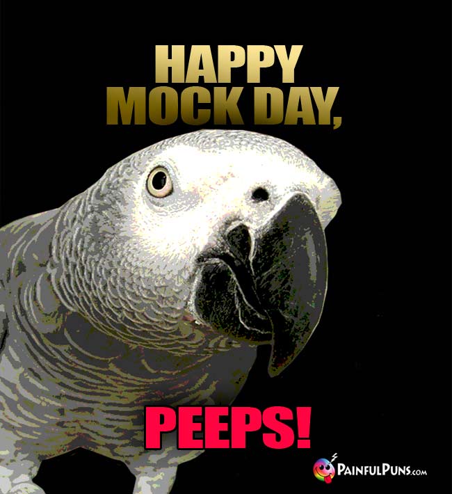 African Gray Parrot Says: Happy Mck Day, Peeps!