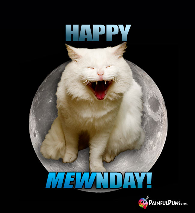 Laughing Cat On the Moon Says: Happy MewnDay!
