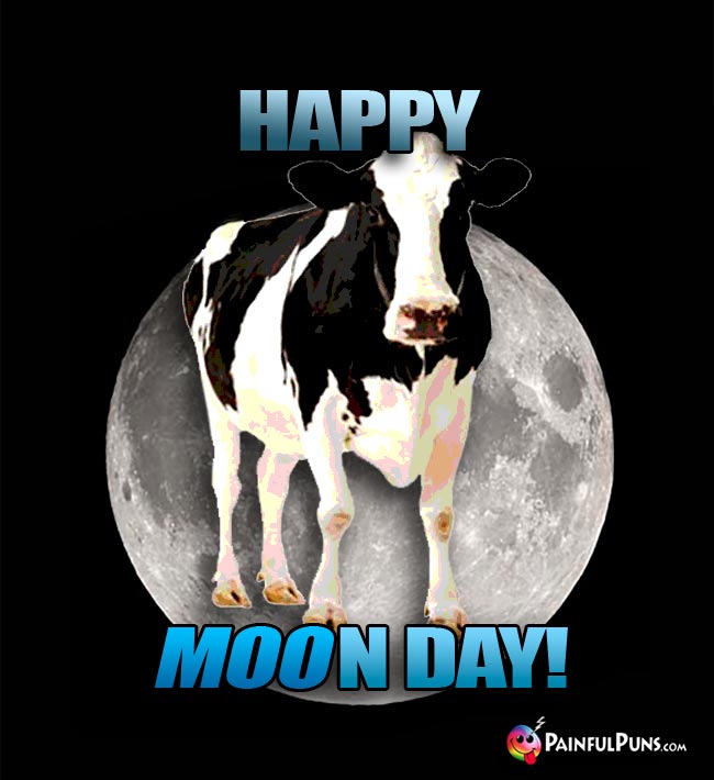Cow In Front Of the Moon Says: Happy Moon Day!