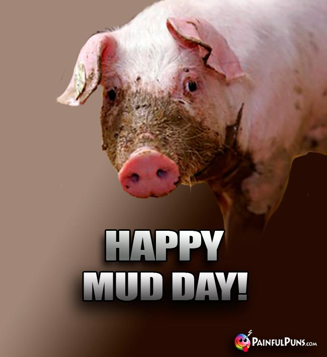 Dirty Pig Says: Happy Mud Day!