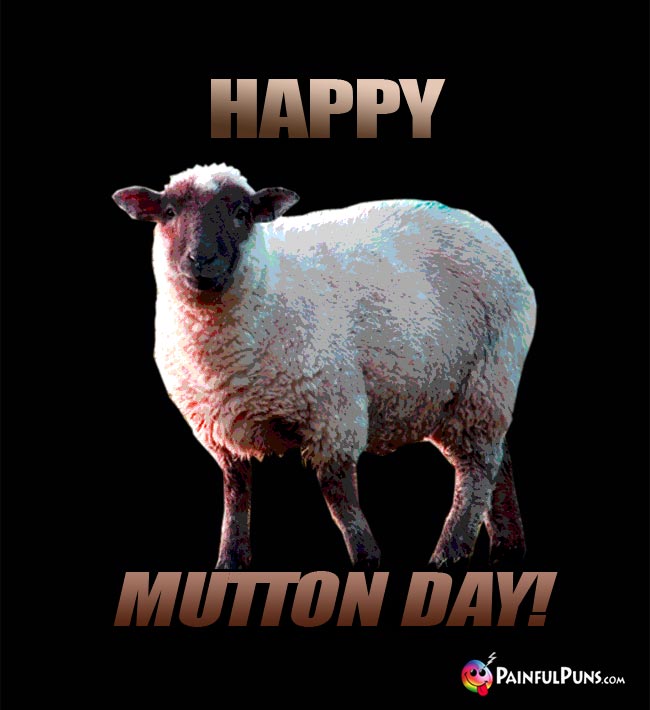 Sheep Says: Happy Mutton Day!