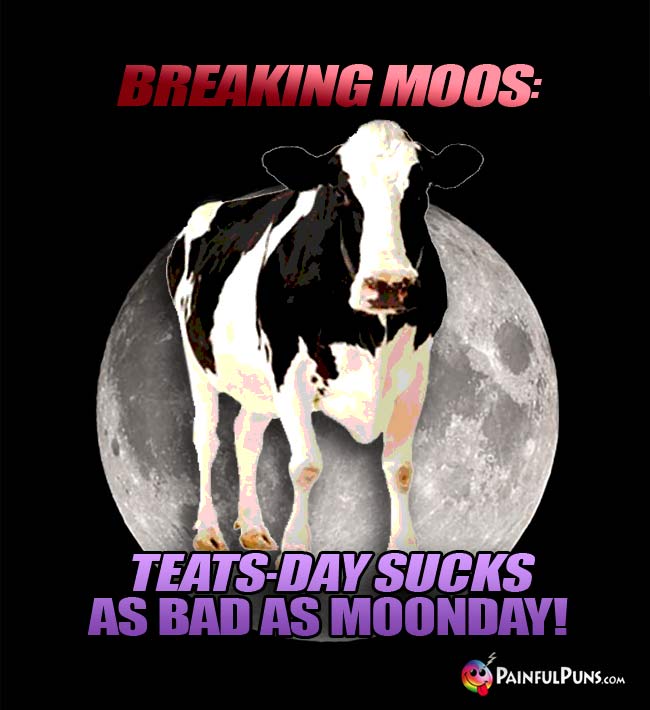 Spac cow says: Breaking Moos! Teats-Day sucks as bad as Moonday!