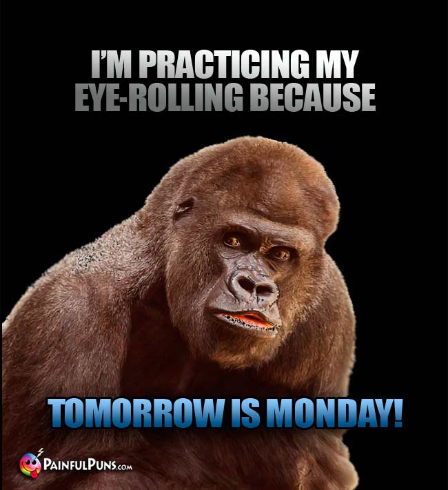 Big ape says: I'm practicing my eye-rolling because tomorrow is Monday!