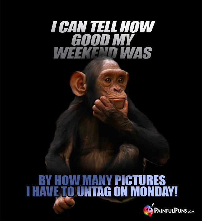 Chimp says: I can tell how good my weekend was by how many pictures I have to untag on Monday!
