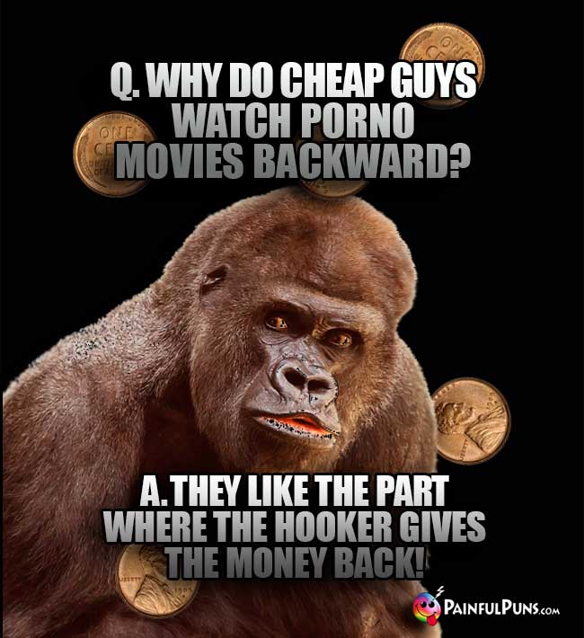 Gorilla Asks: Why do cheap guys watch porno movies backward? A. they like the part where the hooker gives the money back!