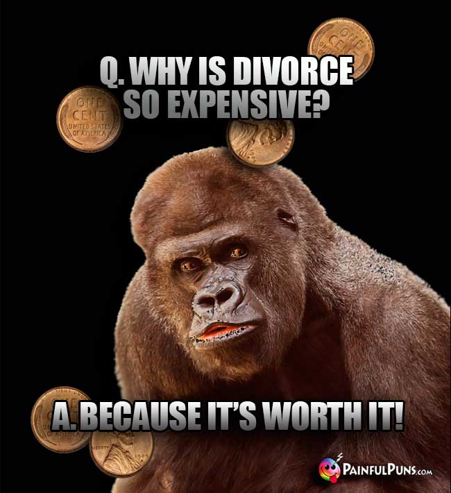 Big Ape Asks: Why is divorce so expensive? A. Because it's worth it!