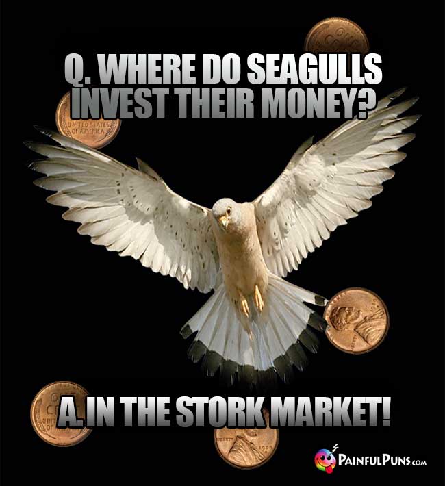 Q. Where do seagulls invest their money? A. In the stork market!