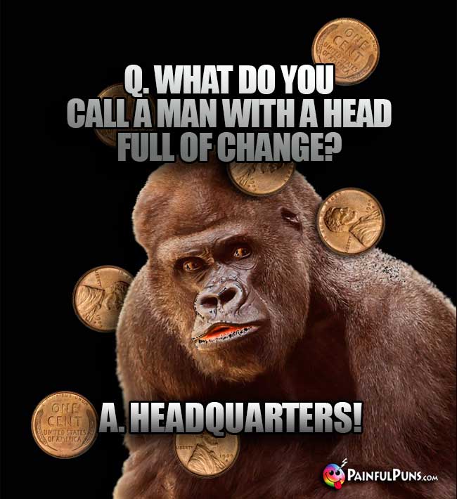 Ape Asks: What do you call a man with a head full of change? A. Headquarters!