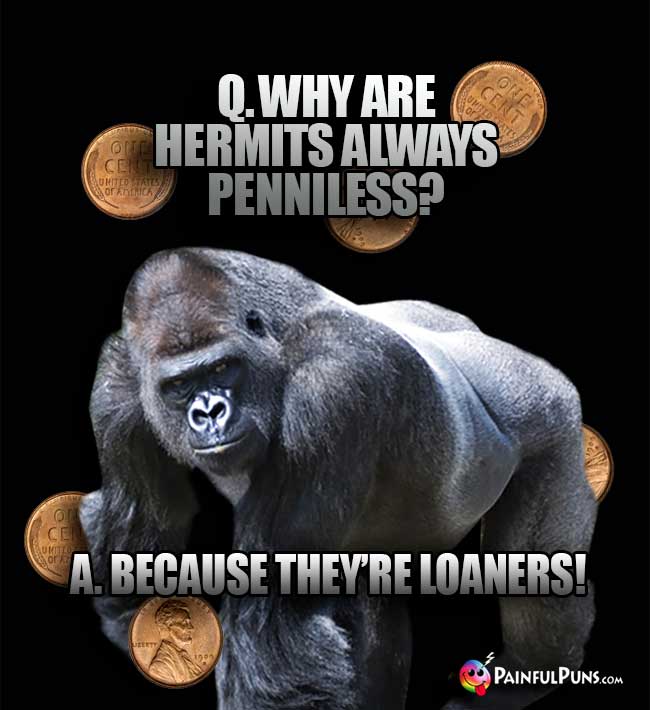 Gorilla Asks: Why are hermits always penniless? A. Because they're loaners!