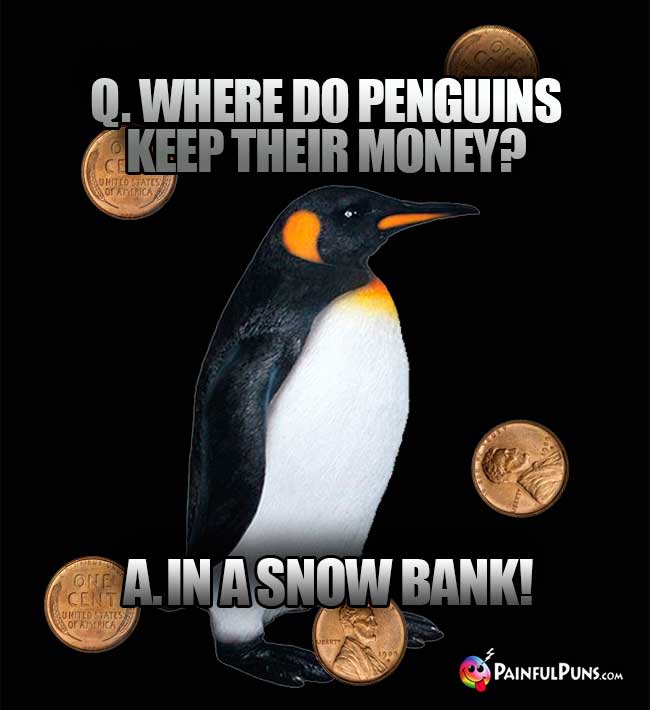 Q. Where do penguins keep their money? A. In a snow bank!