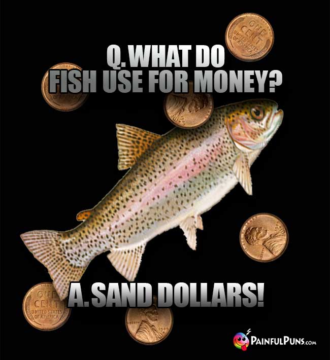 Q. What do fish use for money? A. Sand Dollars!