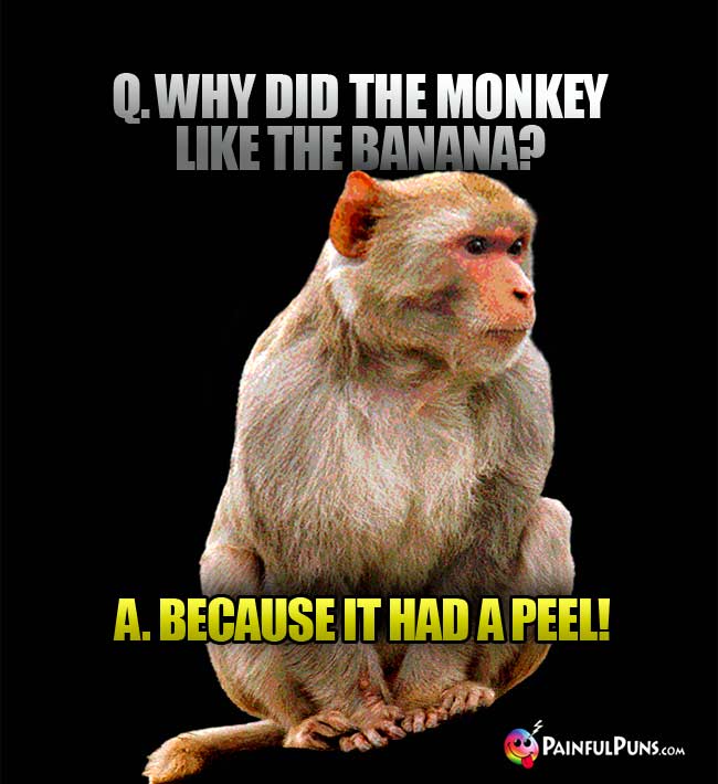 Q. Why did the monkey like the banana? A. because it had a peel!