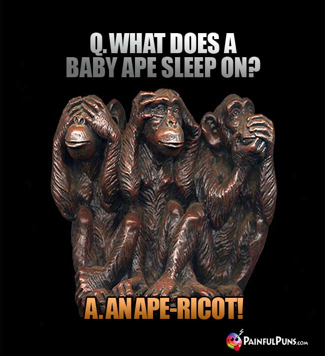 Q. What does a baby ape sleep on? A. An ape-ricot!