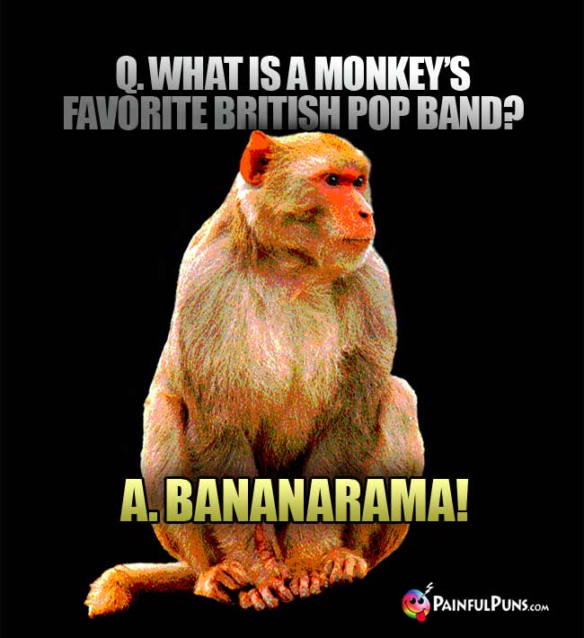 Q. What is a monkey's favorite british Pop band? A. Bananarama!