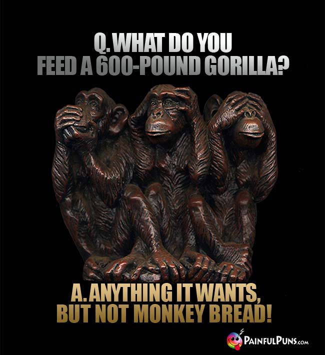 Q. What do you feed a 600-pound gorilla? a. Anything it wants, but not monkey bread!