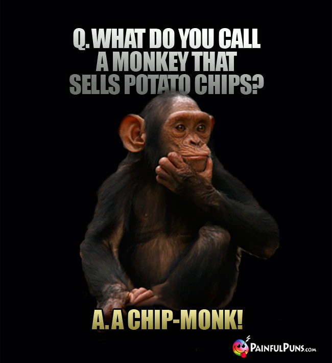 Q What do you call a monkey that sells potato chips? A. A chip-monk!