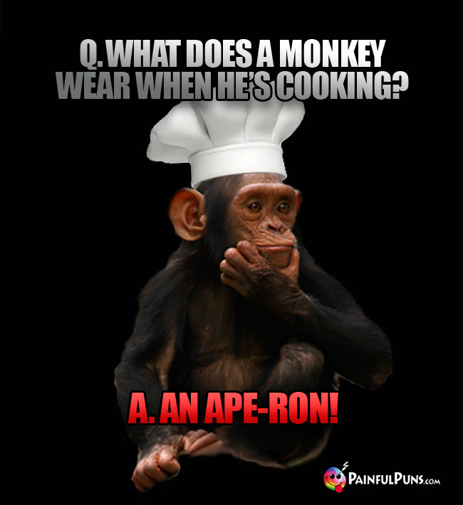 Q. What does a monkey wear when he's cooking? A. An Ape-ron!