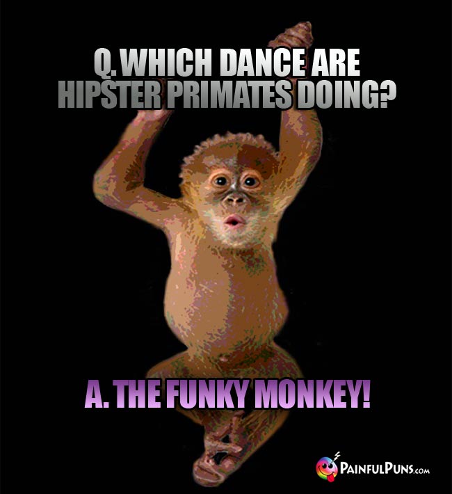 Q. Which dance are hipster primates doing? A. The Funky Monkey!